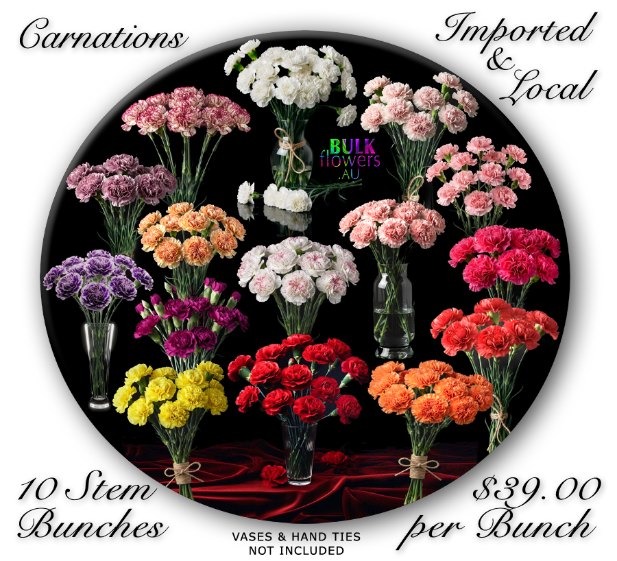 CARNATIONS