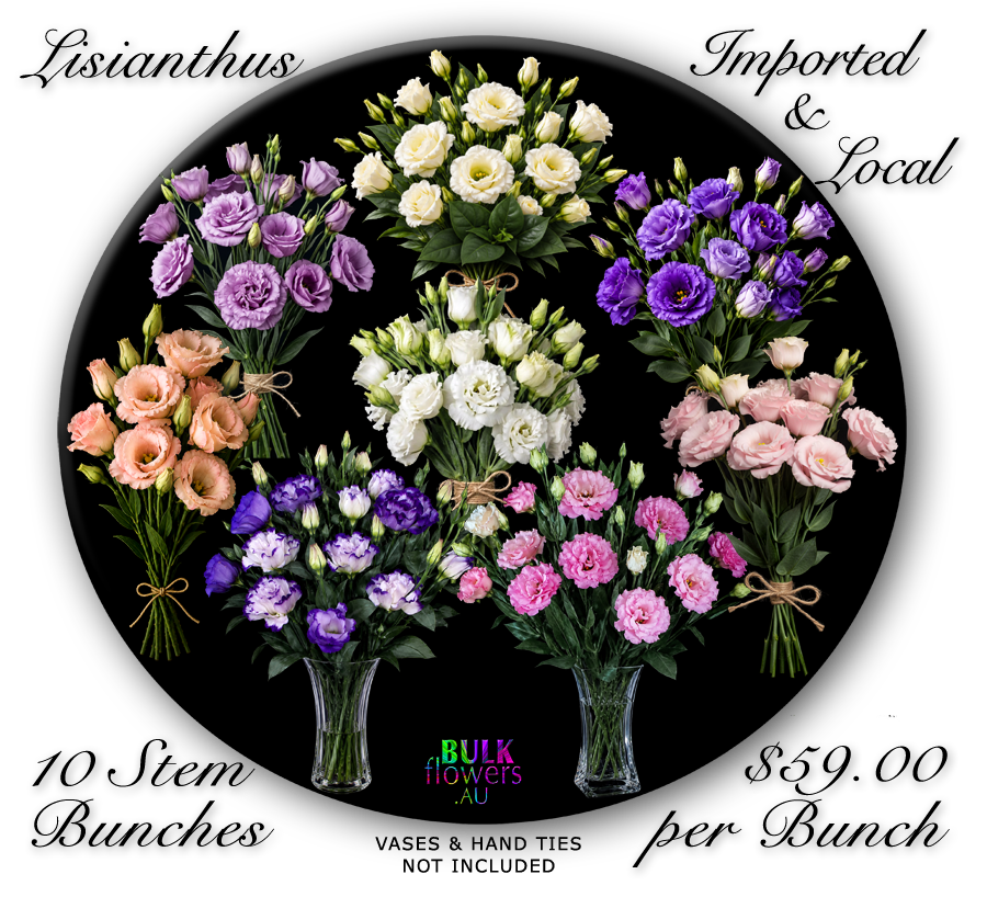 LISIANTHUS