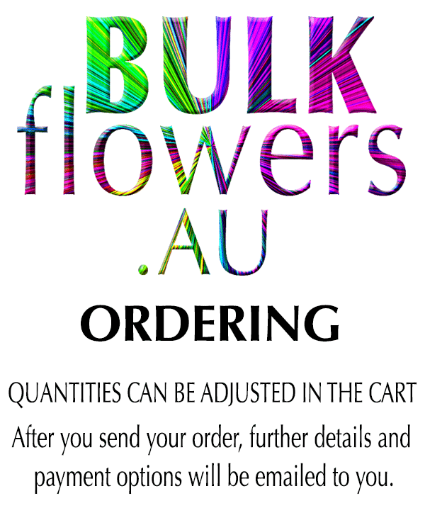 BULK FLOWERS SHOPPING CART