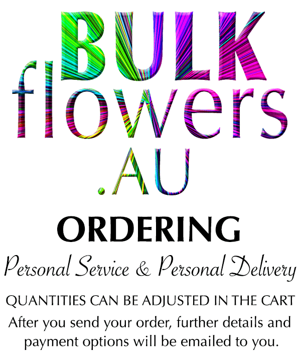 BULK FLOWERS SHOPPING CART